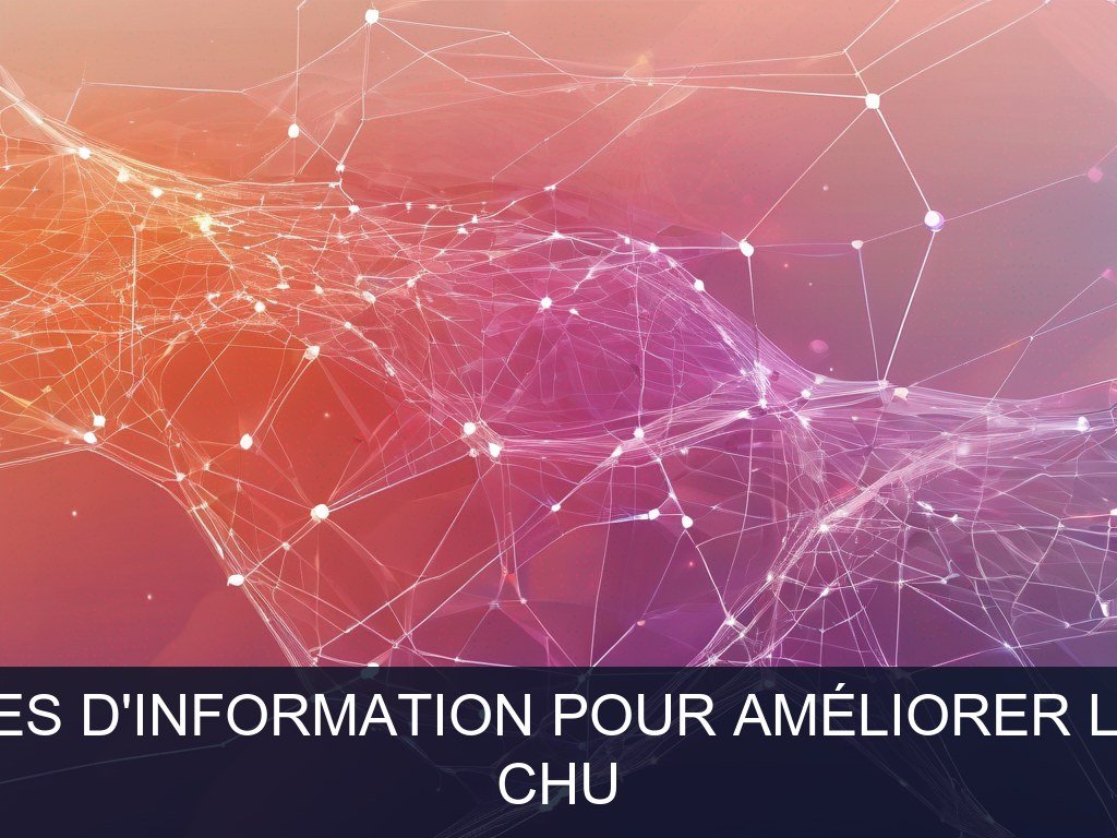 Illustration pour CHU: Modernisation des systèmes d'information pour améliorer l'efficacité opérationnelle (Opportunité Urgente)