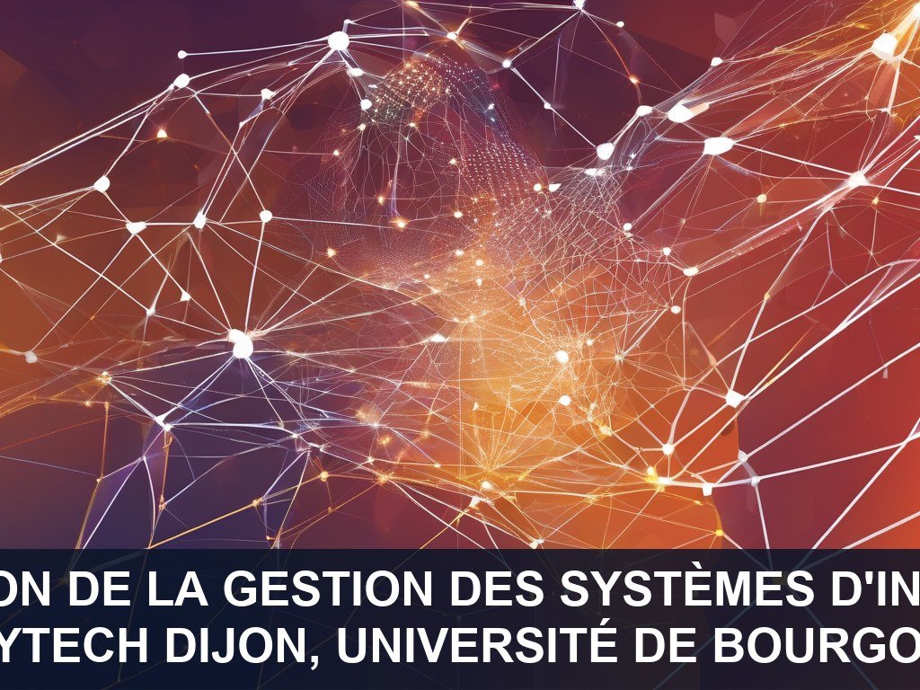 Illustration pour Polytech Dijon, Université de Bourgogne: Optimisation de la gestion des systèmes d'information
